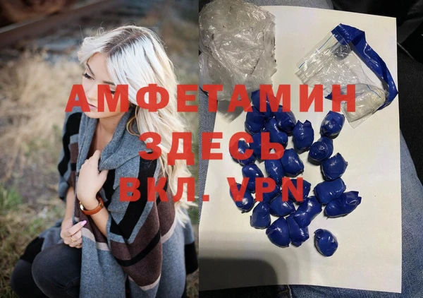 твердый Ельня