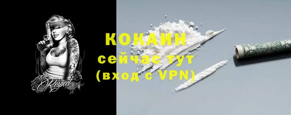 твердый Ельня