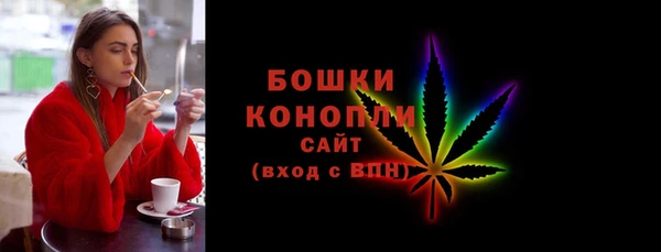 твердый Ельня