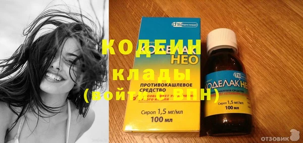 твердый Ельня