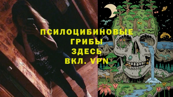 твердый Ельня