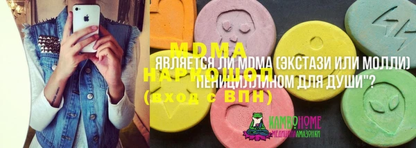 твердый Ельня