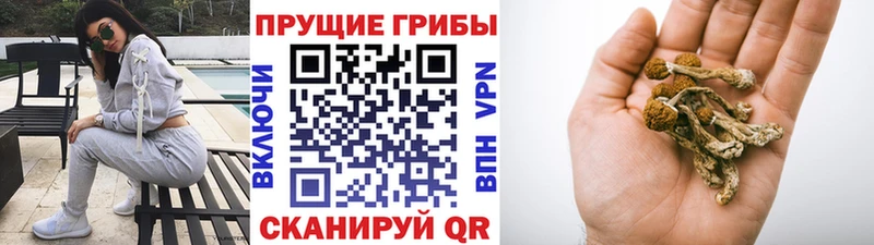 Псилоцибиновые грибы ЛСД  Купить  Медынь 